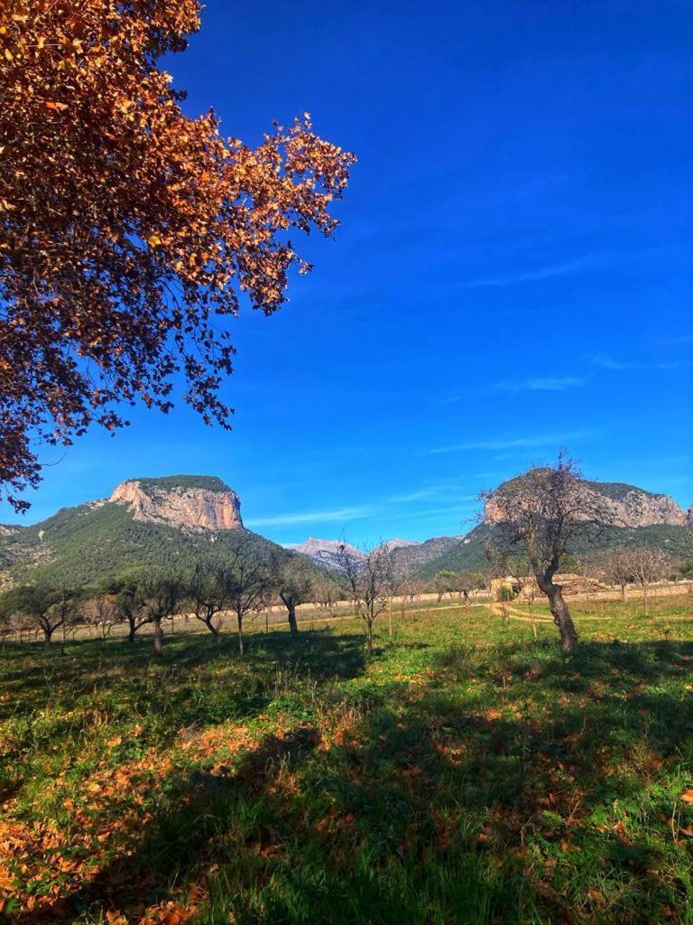 Son Ribes Villa Alaro Bagian luar foto